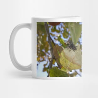 Spider and the Fly Mug